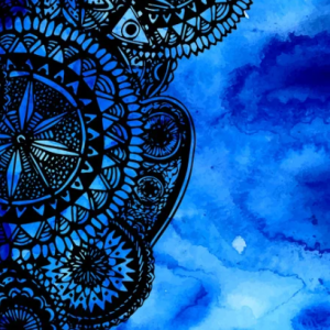 EliteAthlete Training